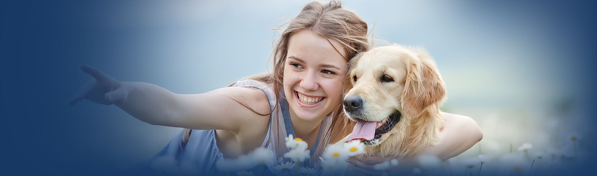 yavru köpek eğitimi ne zaman başlar